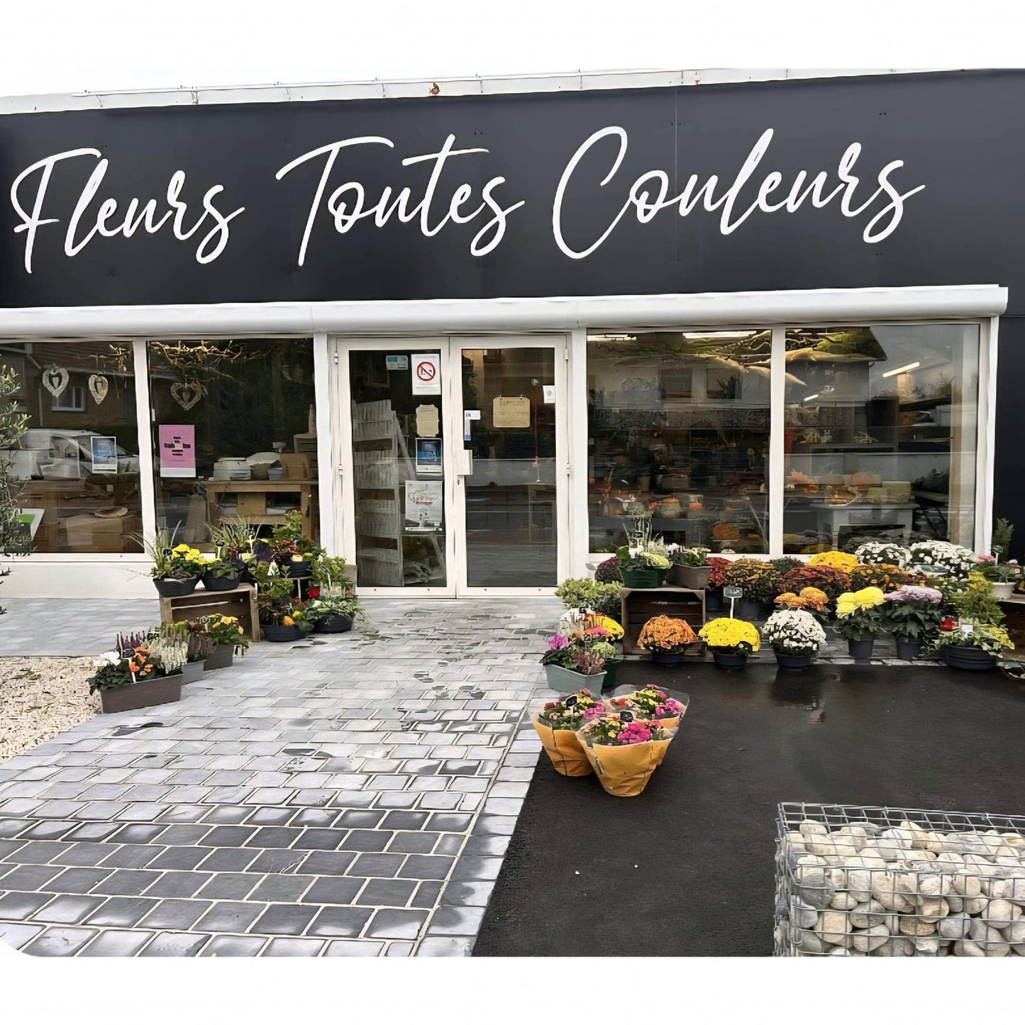 Fleurs Toutes Couleurs