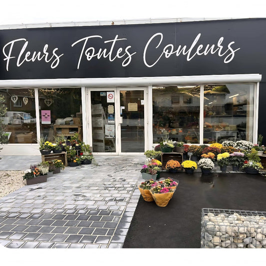 Fleurs Toutes Couleurs